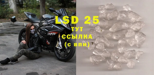 PSILOCYBIN Кулебаки