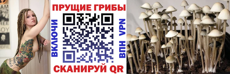 Псилоцибиновые грибы мухоморы  Архангельск 