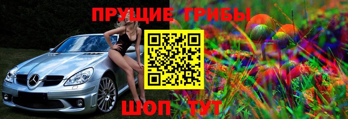 Псилоцибиновые грибы прущие грибы  Вход с VPN  Галлюциногенные грибы Cubensis  где купить наркоту  Архангельск 